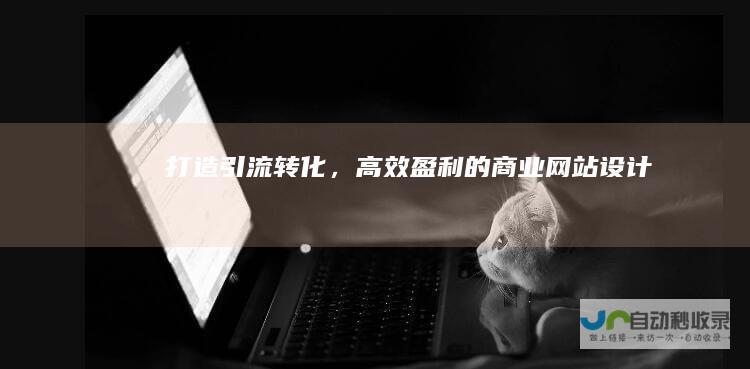 打造引流转化，高效盈利的商业网站设计